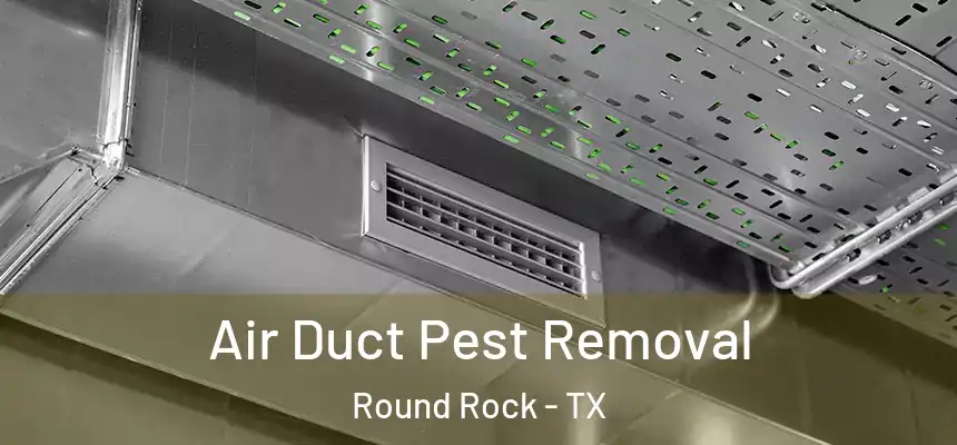 Air Duct Pest Removal Round Rock - TX