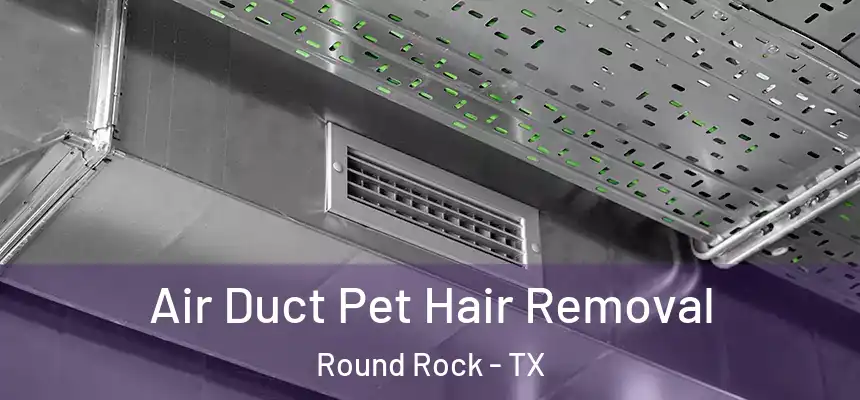 Air Duct Pet Hair Removal Round Rock - TX