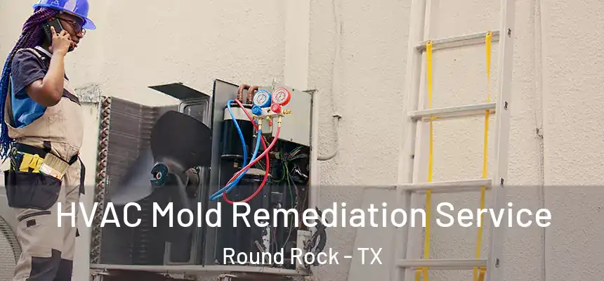 HVAC Mold Remediation Service Round Rock - TX