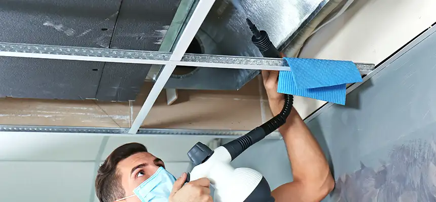 Our Air Duct Rodent Removal Services in Round Rock, TX