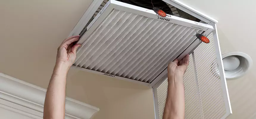 Our Insect Removal from Air Ducts Services in Round Rock, TX