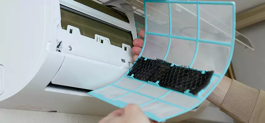 Gentle Ductwork Odor-Control Pet Dander Duct Cleaning in Round Rock, TX