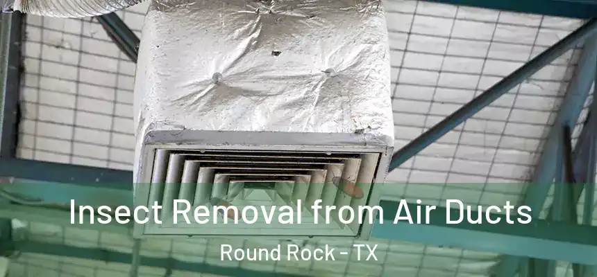 Insect Removal from Air Ducts Round Rock - TX