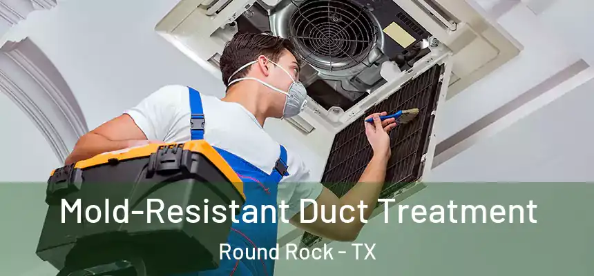 Mold-Resistant Duct Treatment Round Rock - TX