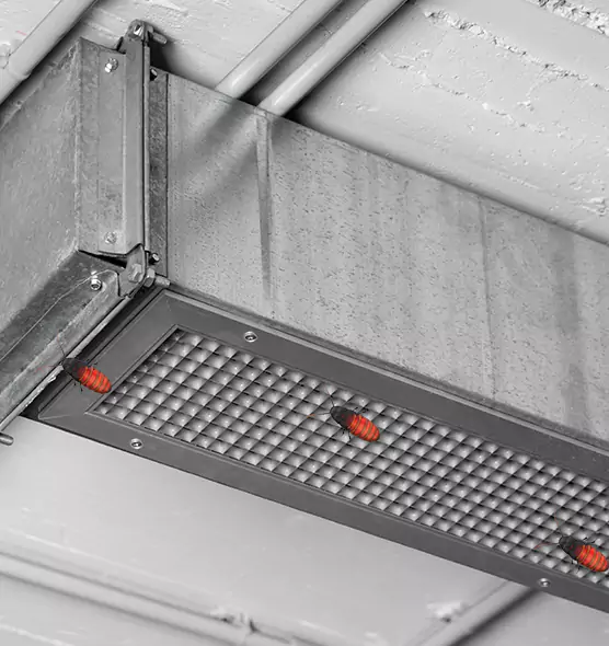 About Air Duct Cockroach Removal in Round Rock, TX