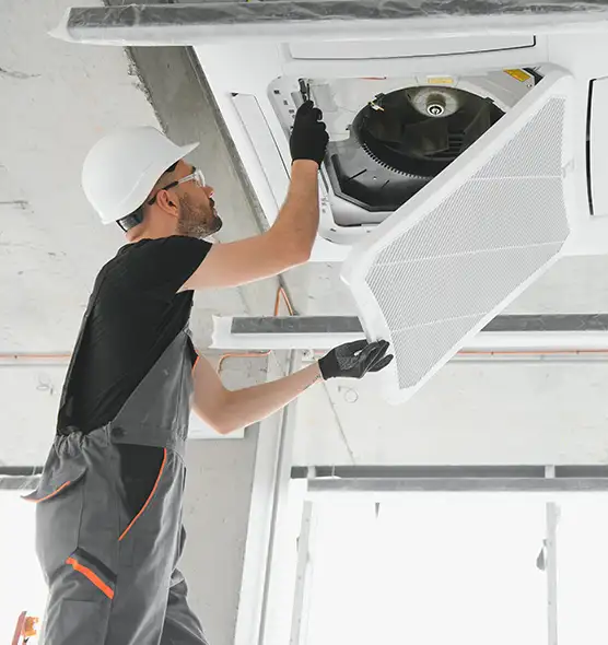 About Air Duct Rodent Removal in Round Rock, TX