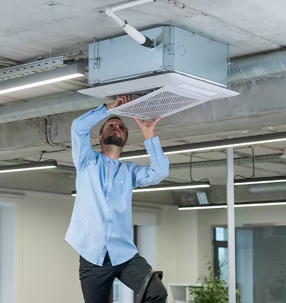 Advanced Rodent Droppings In Vents in Round Rock, TX