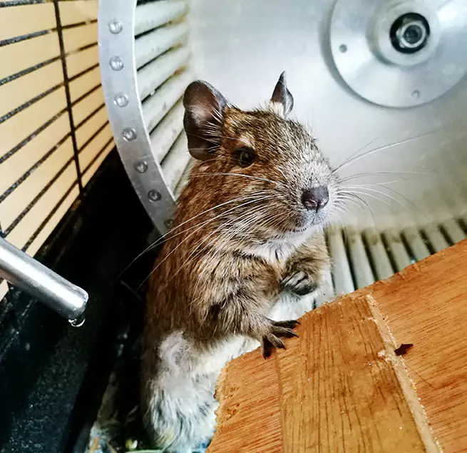 Why Homeowners & Businesses Trust Us Round Rock, TX