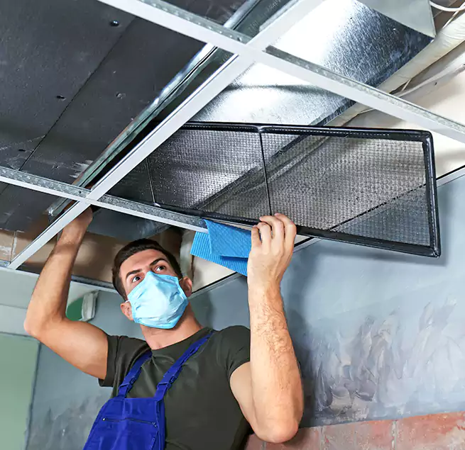 Why Homeowners Businesses Trust Us in Round Rock, TX