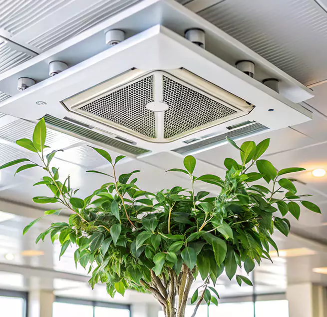 Why Homeowners & Businesses Trust Us in Round Rock, TX