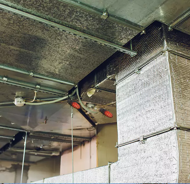 Why Homeowners & Businesses Trust Us Round Rock, TX?